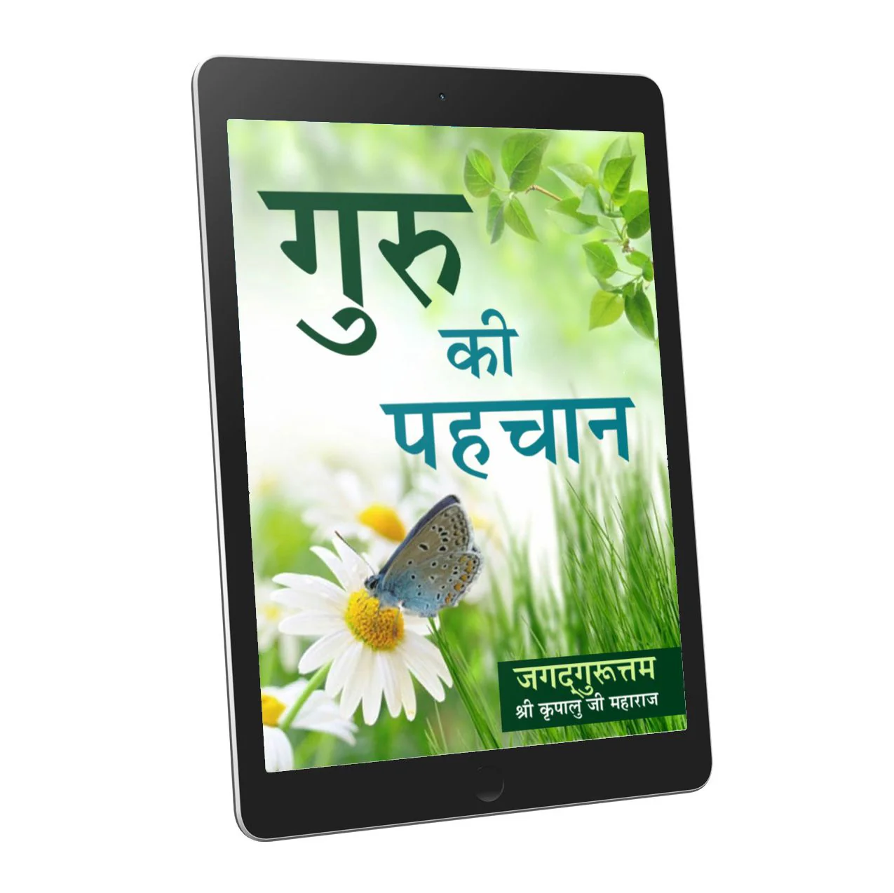 Guru Ki Pehchan - Hindi Ebook