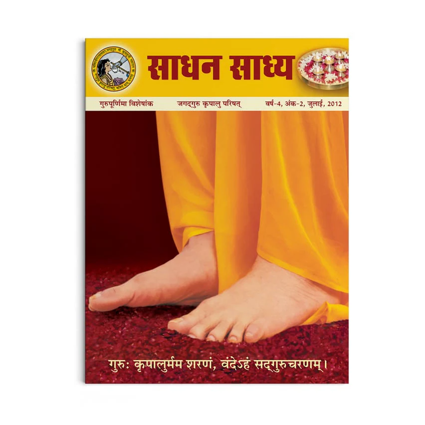 Sadhan Sadhya - Guru Poornima 2012 - Hindi - Image 2