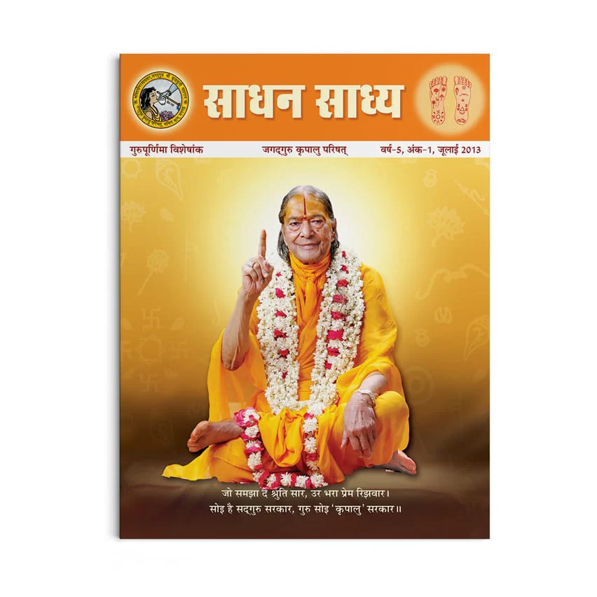 Sadhan Sadhya - Guru Poornima 2013 - Hindi - Image 2