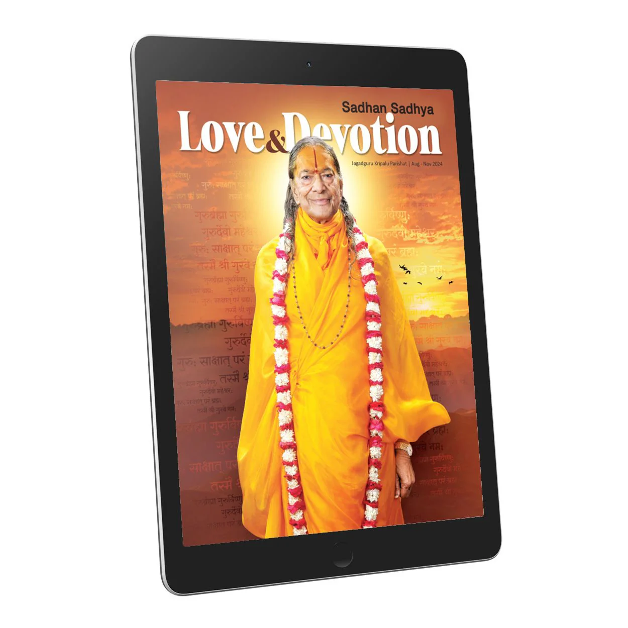 Sadhan Sadhya - Guru Poornima 2024 - English Ebook
