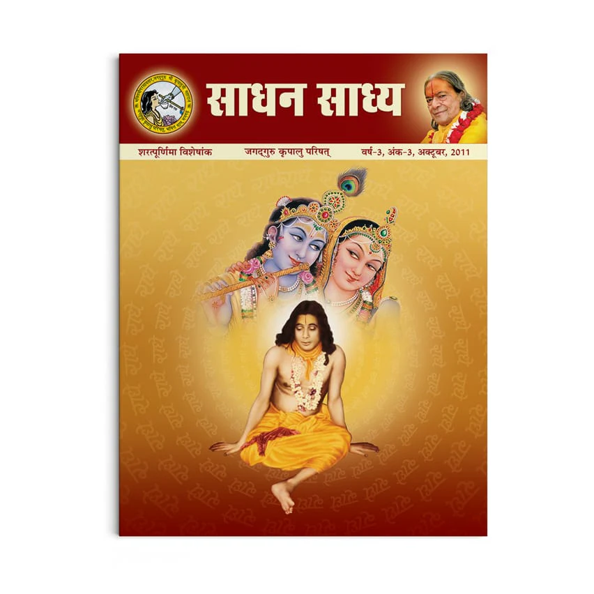 Sadhan Sadhya - Sharatpurnima 2011 - Hindi - Image 2