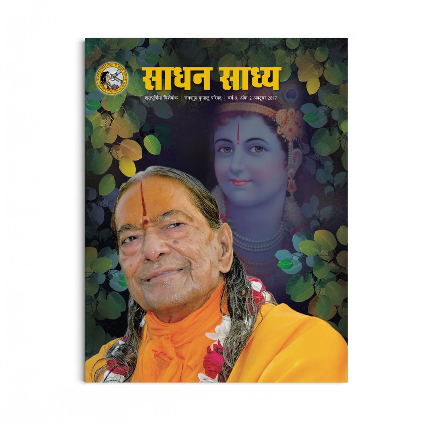 Sadhan Sadhya - Sharatpurnima 2017 - Hindi - Image 2