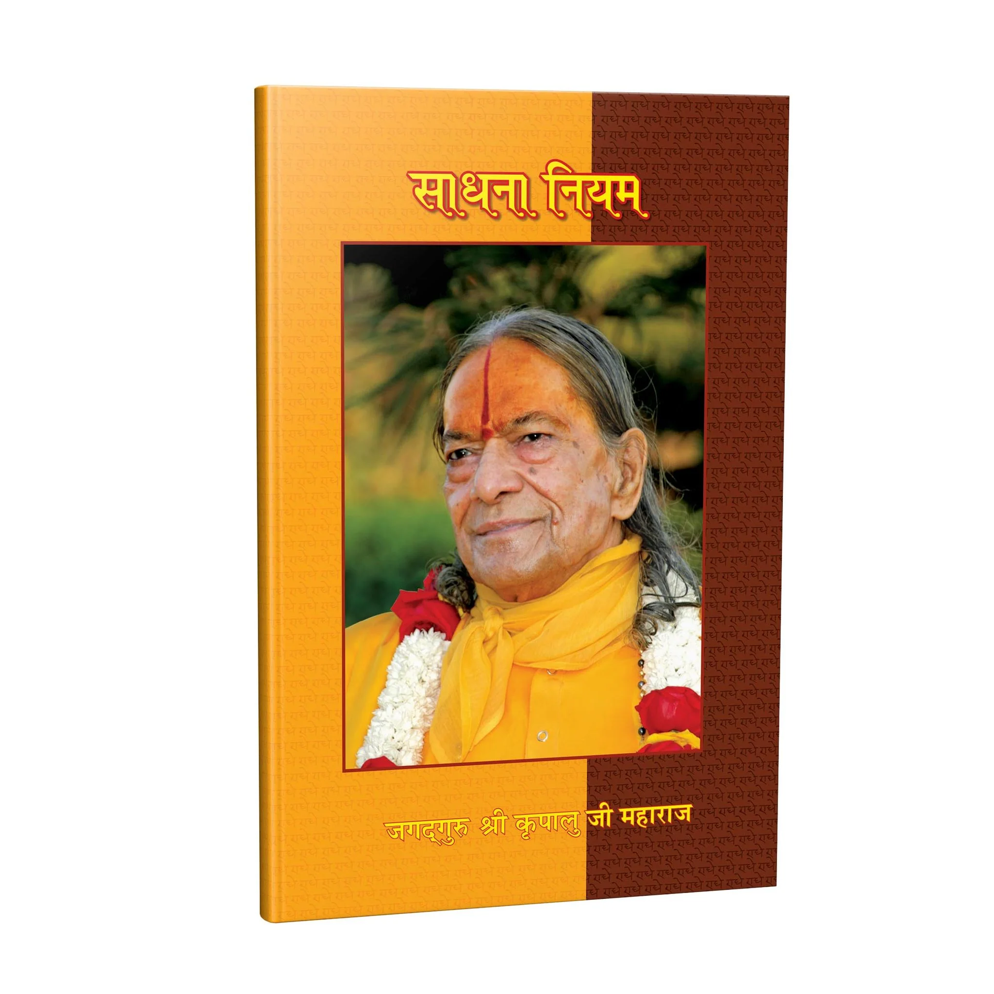 Sadhana Niyam - Hindi - Image 2
