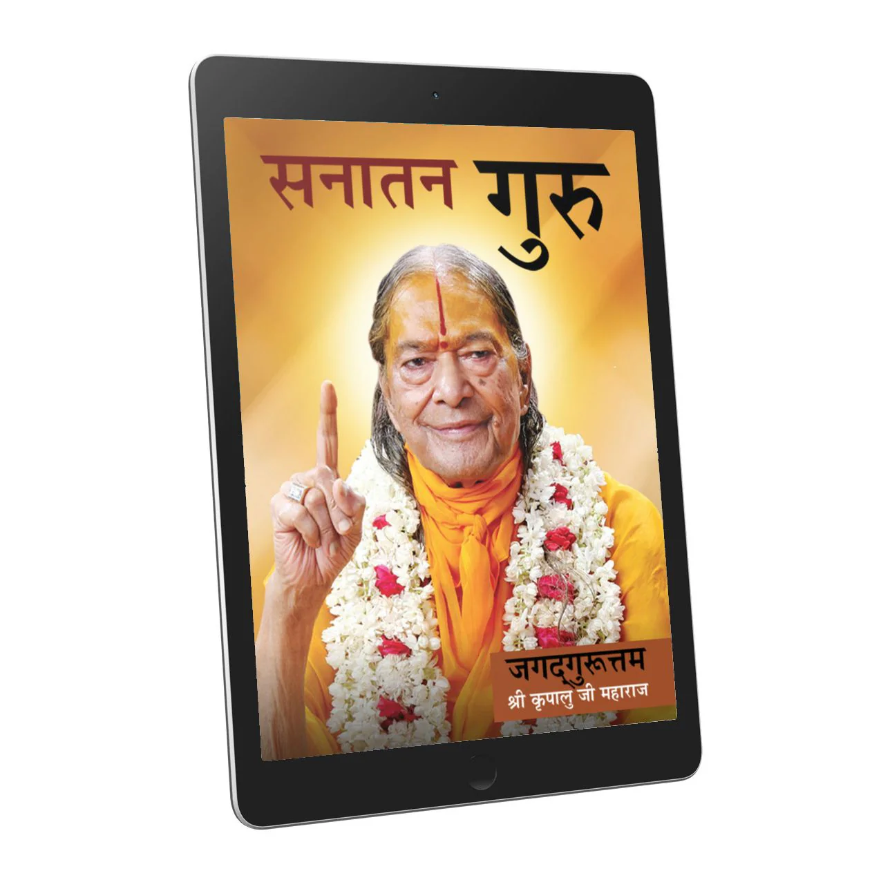 Sanatan Guru - Hindi Ebook